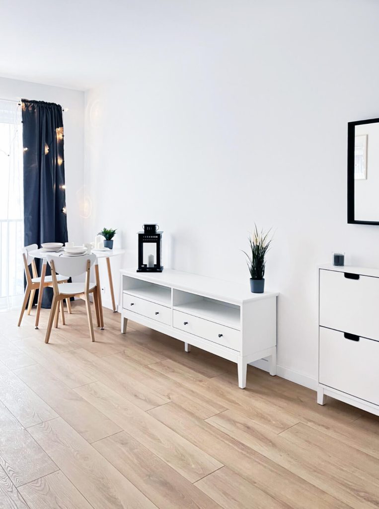 Minimalistyczne wnętrze z białą szafką RTV, dekoracyjnymi roślinami i białą komodą na tle czystej, białej ściany - kawalerka na wynajem Łódź Pomorska 107a