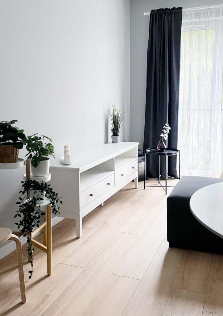 Minimalistyczne wnętrze z białą szafką RTV, dekoracyjnymi roślinami na tle jasnej ściany - mieszkanie 2 - pokojowe na wynajem Łódź Pomorska 107a